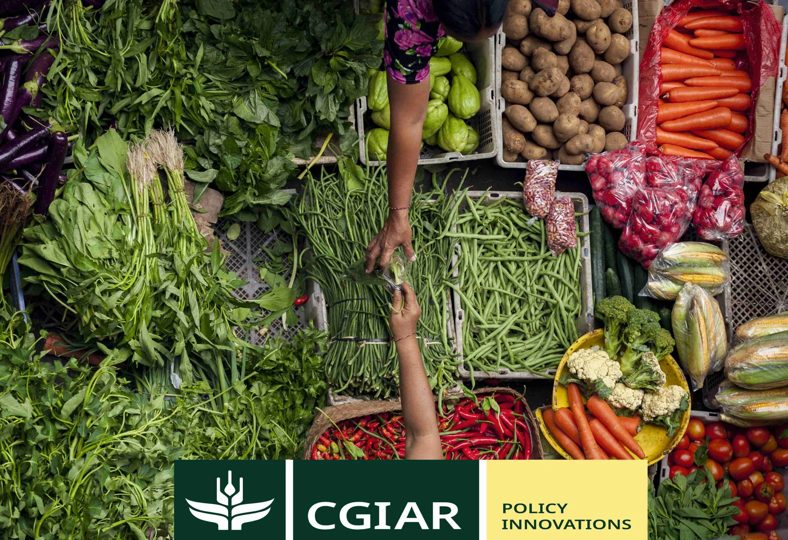 CGIAR logo FfD4