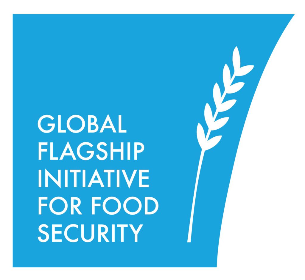 Flagship_Logo_blue