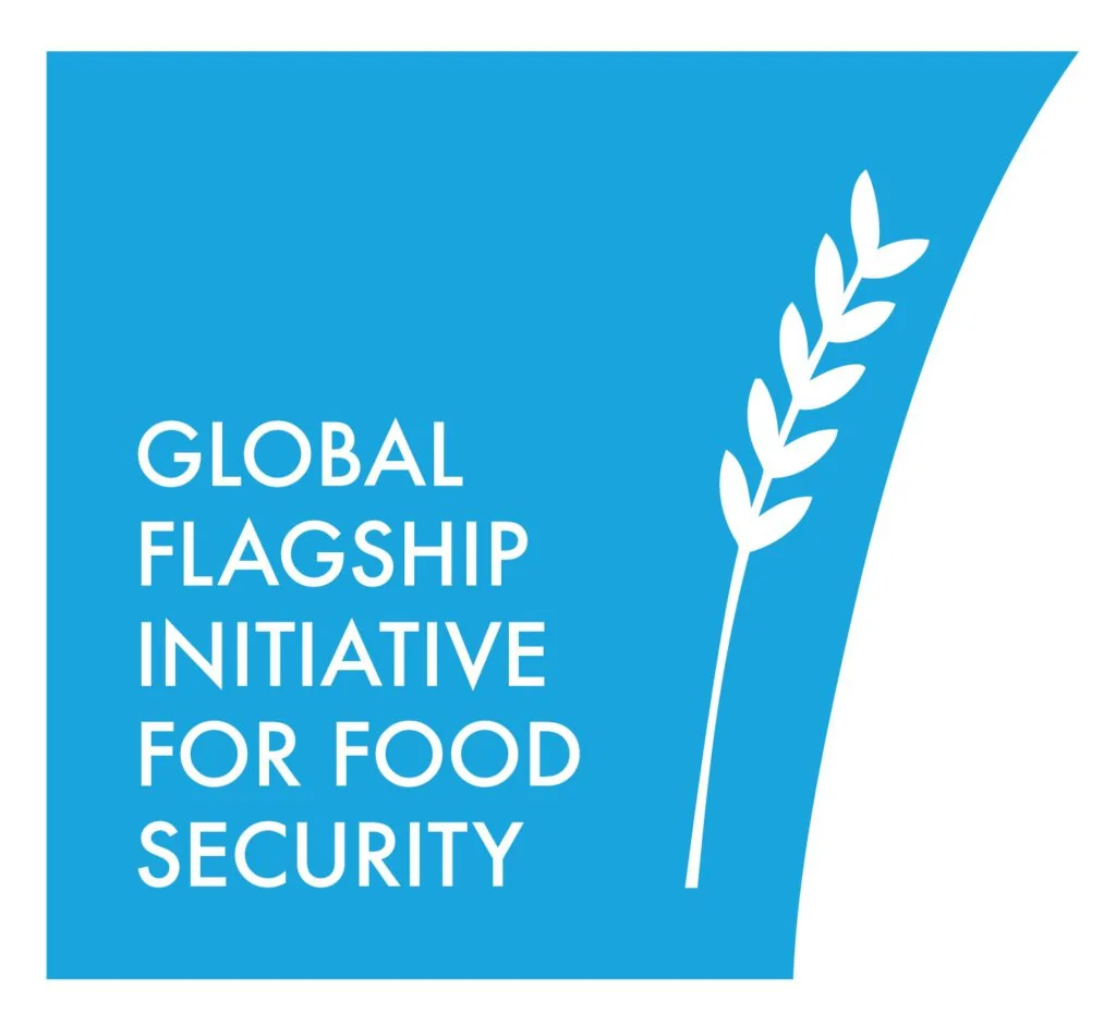 Flagship Logo blue