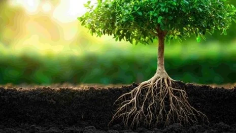 resilience
