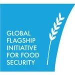 Flagship Logo blue