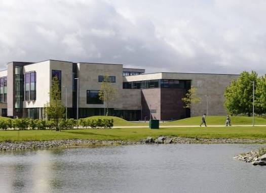 University College Dublin (UCD), School of Politics.
